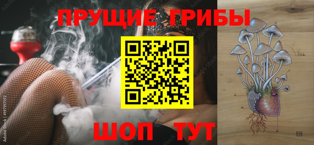 Галлюциногенные грибы MAGIC MUSHROOMS  Вход с VPN  Мурино 